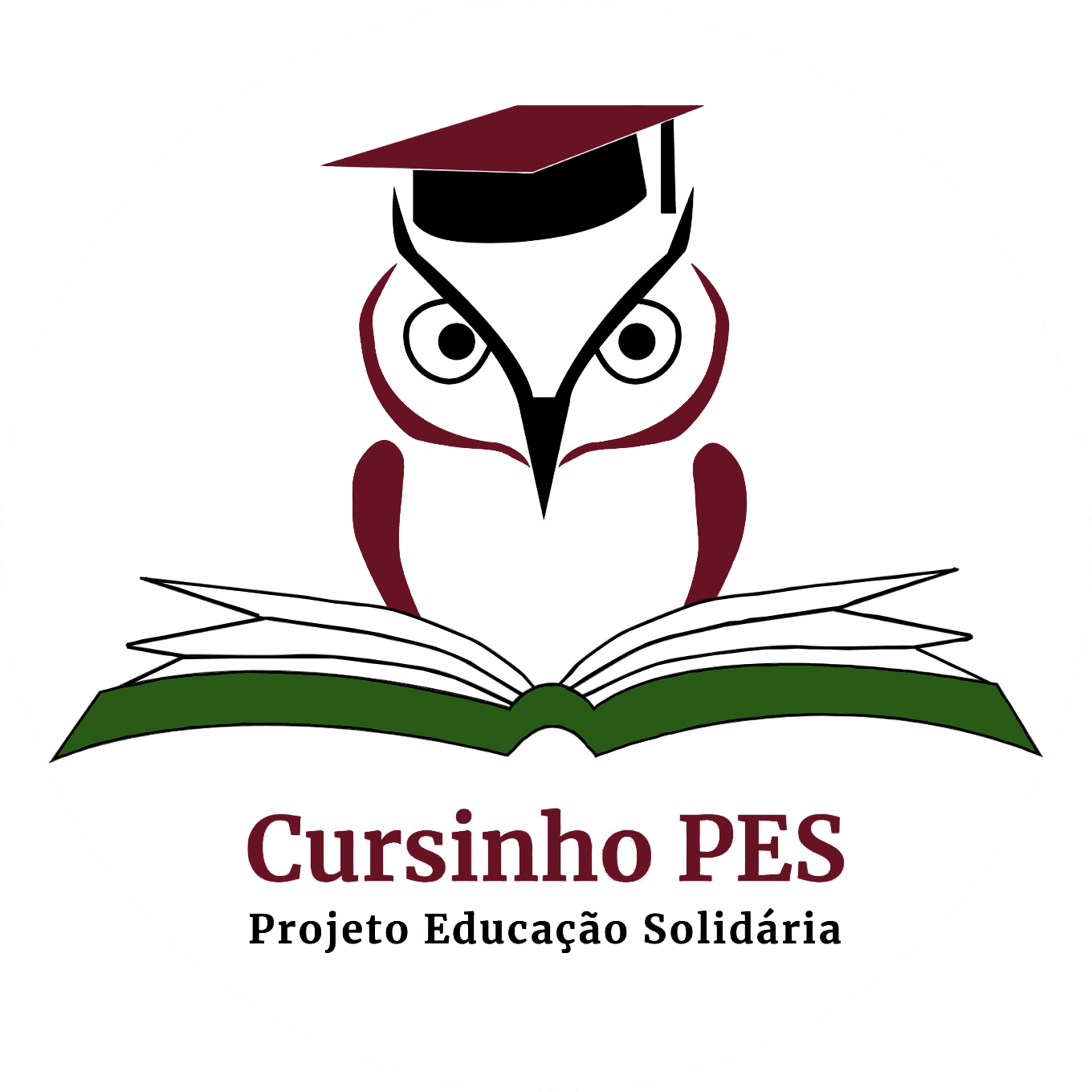 Logo Cursinho PES
